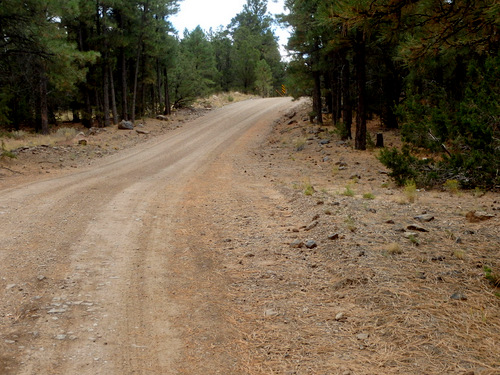 GDMBR: We were riding a ridgeline road.